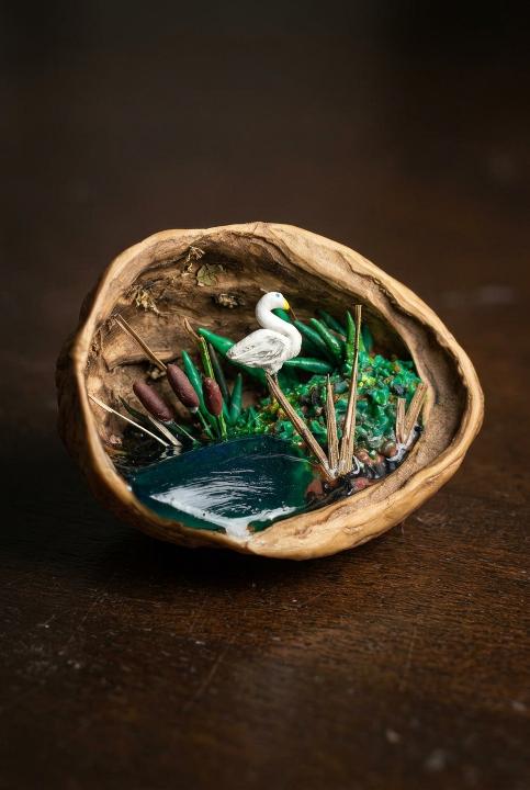A wetland inside a walnut